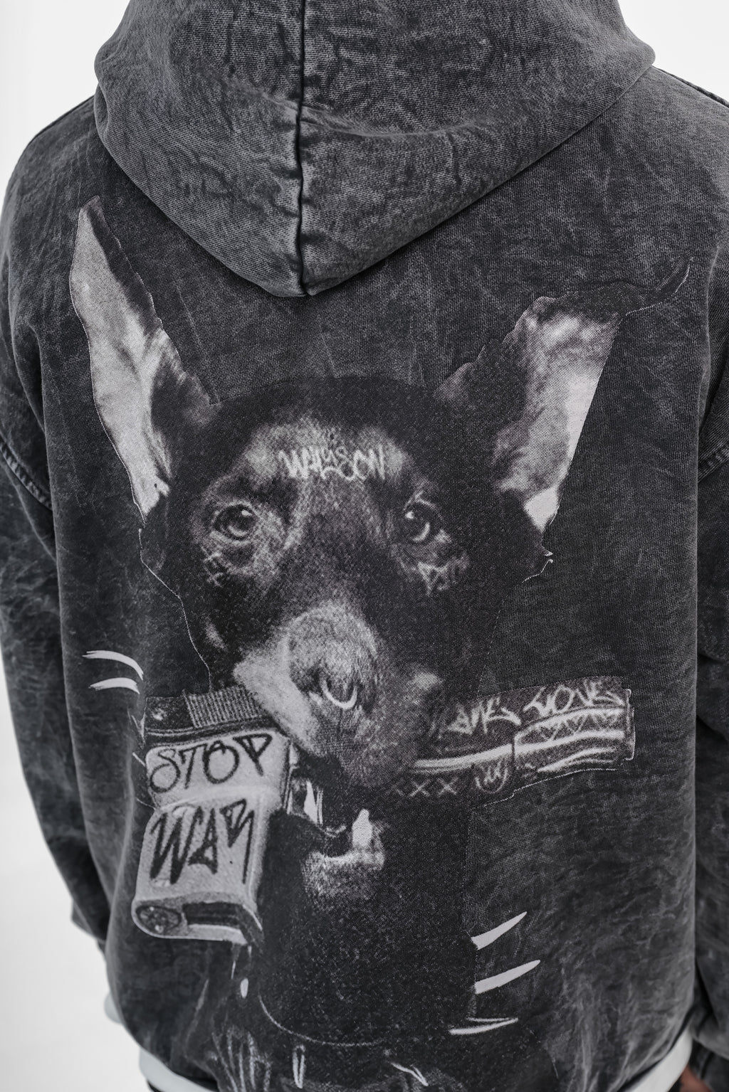 Sweat Riches Paris Dog