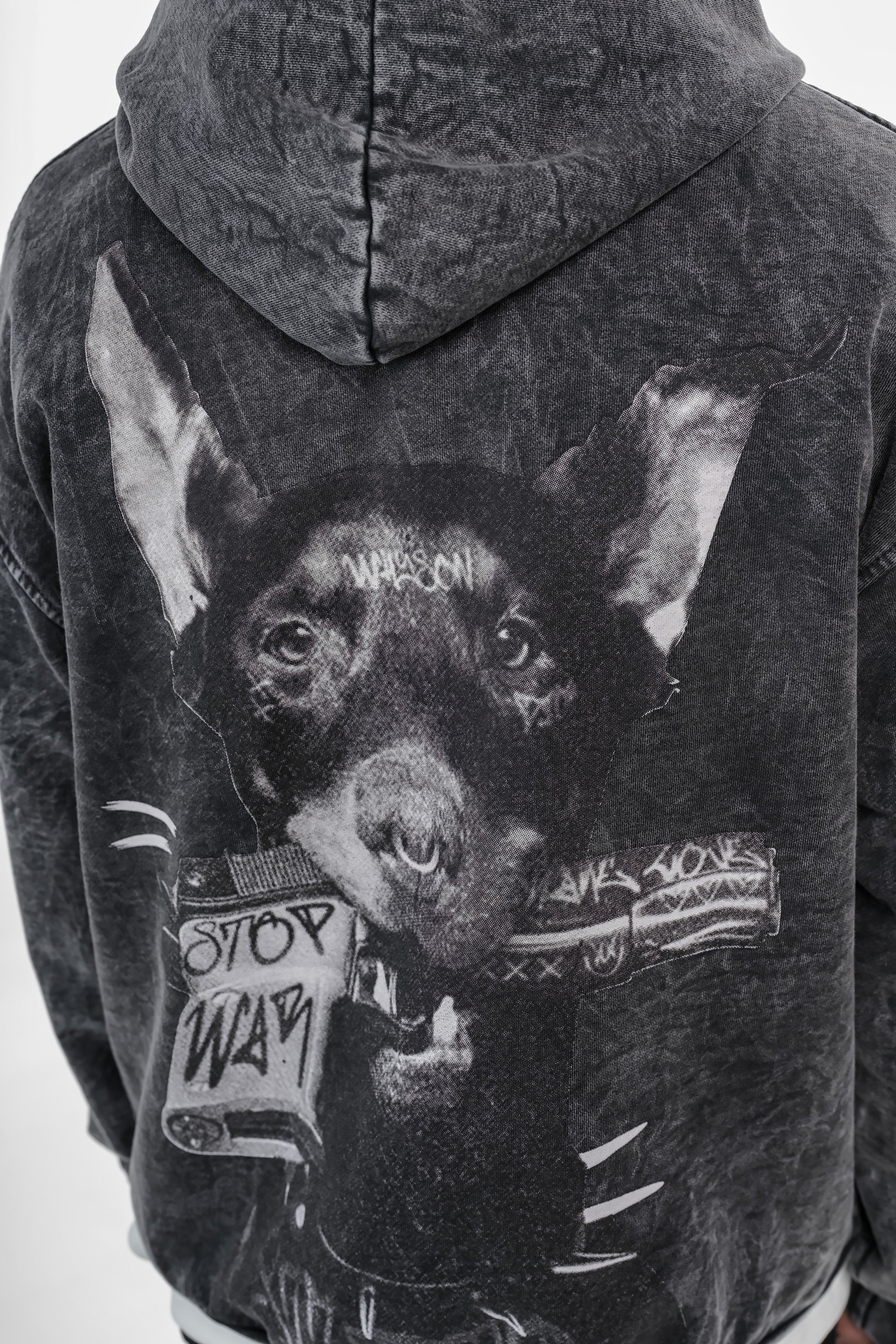Sweat Riches Paris Dog